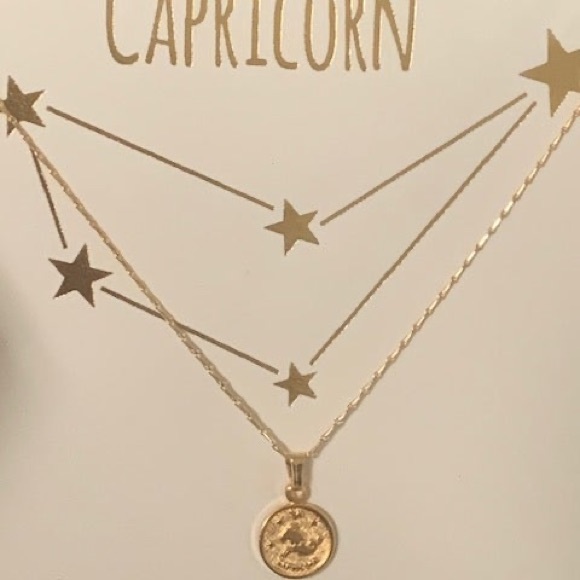 Tiny Zodiac Coin Necklace - Picture 9 of 11